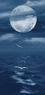 Moonlit ocean scene with birds flying at night.