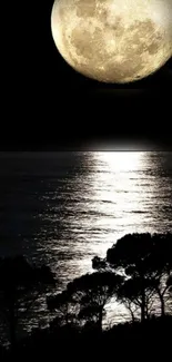 Full moon over ocean with silhouetted trees at night.