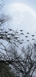 Moonlit sky with silhouetted trees and birds in flight.