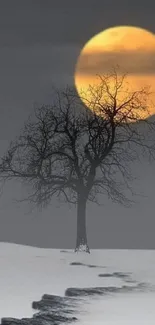 Silhouetted tree with full moon over snowy landscape.