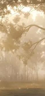 Serene forest path with golden morning mist and sunlight.