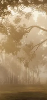 Misty morning forest with soft sunlight and serene atmosphere.