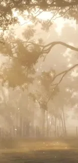 Serene morning forest with golden sunlight and trees.