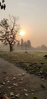 Serene morning landscape with sunrise and misty trees.