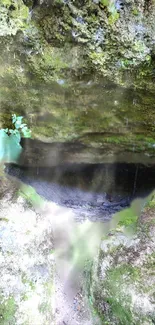 Serene view of a moss-covered cave interior.