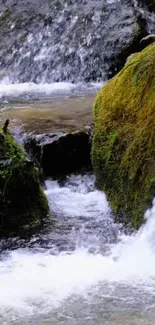 Stream flowing between moss-covered rocks