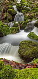 Moss-covered rocks with cascading water in a serene forest setting.