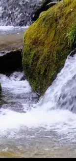 Serene waterfall with mossy rocks and clear flowing water.