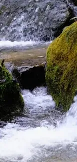 Serene nature scene with mossy waterfall.