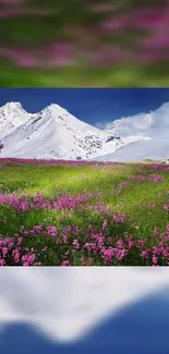 Beautiful landscape with mountains, green field, and colorful flowers.