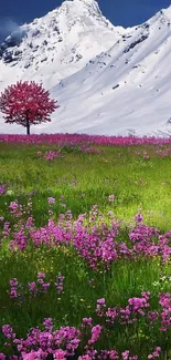 Snowy mountain and pink flower field scenic wallpaper.