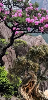 Serene mountain landscape with pink blossoms and ancient trees.