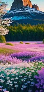 Serene mountain landscape with vibrant purple flowers and a distant peak.