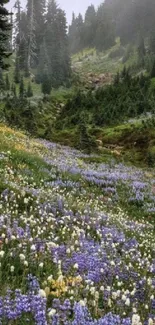 A serene mountain meadow filled with colorful wildflowers and lush greenery.