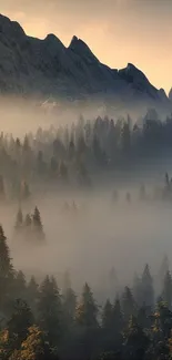 Misty mountain forest at dawn, serene landscape.