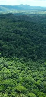 Lush green forests with distant mountains under blue sky.