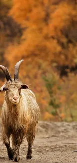 Majestic goat standing amidst autumn foliage in a tranquil nature scene.