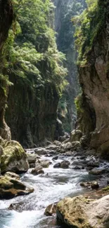 Mountain gorge with river and lush green vegetation wallpaper.