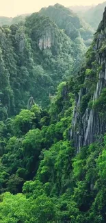 Serene green mountains with lush forest covering the landscape.