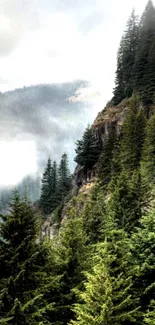 Misty mountain landscape with lush green forest trees.