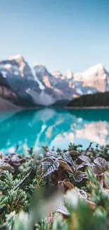 Serene mountain lake with frosted plants and clear blue sky.