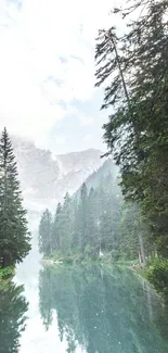 Serene mountain lake with evergreen trees and a misty backdrop.