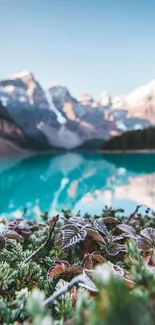 Scenic mountain lake with snowy peaks and lush foreground foliage.