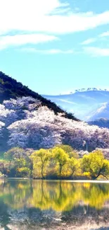 Serene mountain lake with vibrant spring scenery and reflections.