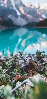 Frosted foliage with mountain and lake view in the background.