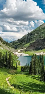 Scenic mobile wallpaper of a tranquil mountain lake with lush greenery.