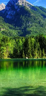 Mobile wallpaper of a serene mountain lake with green forests.