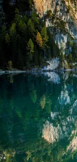 Serene mountain lake with forest and reflections.