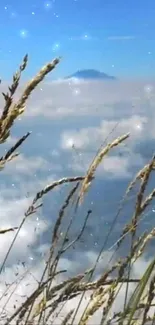 Mountain landscape with golden grasses and clouds.