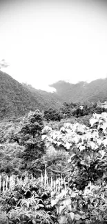 Black and white mountain landscape with green foliage.