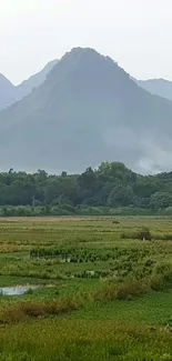 Peaceful landscape with green fields and misty mountain peaks.