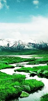 Green fields with snowy mountains under a clear sky.