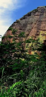 Serene mountain landscape with green foliage and rocky backdrop.