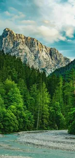 Stunning mountain and forest landscape with blue sky.