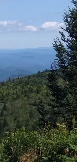 Mobile wallpaper of a lush green mountain view with pines and a blue sky backdrop.