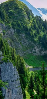 Lush green mountain landscape with forested slopes and distant peaks.