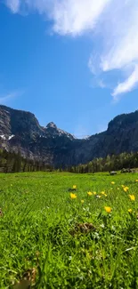 Serene mountain landscape with blue sky and green meadow.