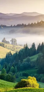 A serene mobile wallpaper of misty green mountains and lush valleys.