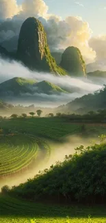 Stunning green landscape with misty mountains and lush fields.