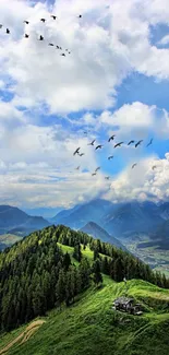 Serene mountain landscape with lush greenery and birds in the sky.