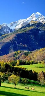 Serene landscape with mountains, green valleys, and clear sky.