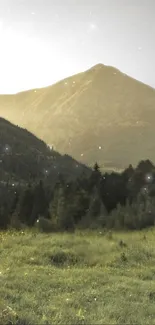 Serene mountain view with greenery and stars.