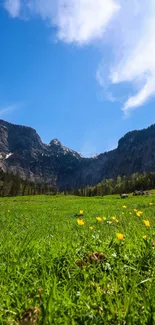 A vibrant mountain meadow with wildflowers under a blue sky.