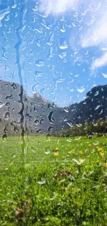 A tranquil mountain meadow under a bright blue sky.