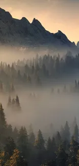 Misty mountain forest with morning light glowing softly.