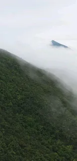 Serene mountain landscape with mist and lush greenery.